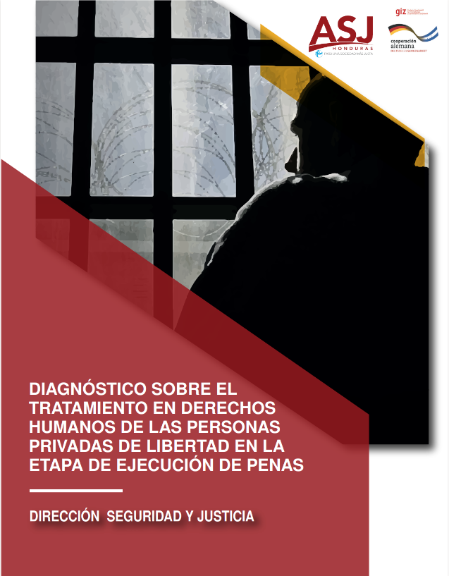 Diagnóstico sobre el Tratamiento en Derechos Humanos de las Personas Privadas de Libertad en la Etapa de Ejecución de Penas