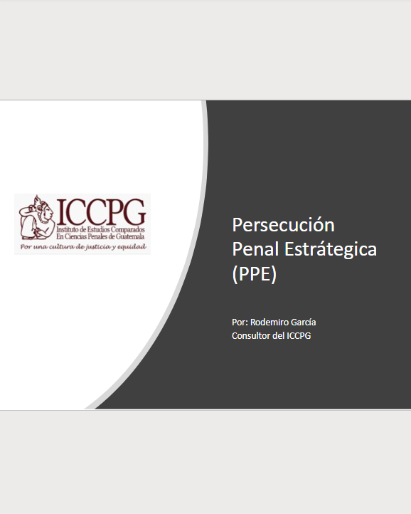 Persecución Penal Estrátegica (PPE)