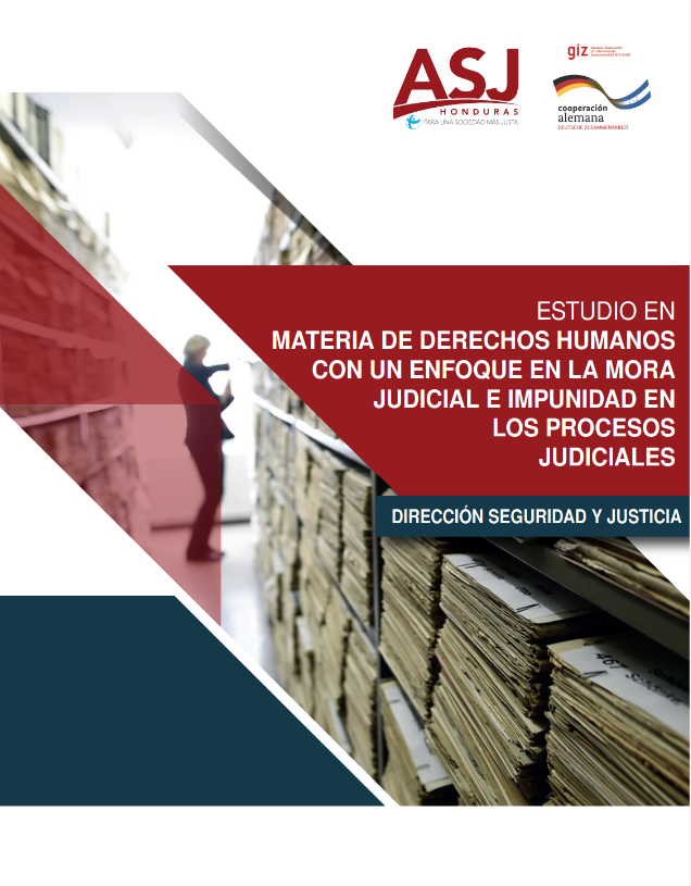 Resumen Ejecutivo: Estudio en Materia de Derechos Humanos con un Enfoque en la Mora Judicial e Impunidad en los Procesos Judiciales Dirección